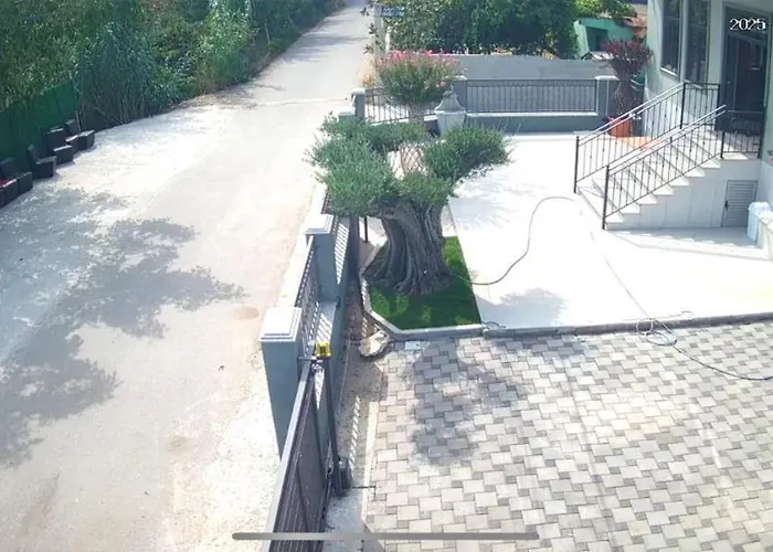 Andersoni Dhoma Plazhi Andersoni Shen Ded Gjoni