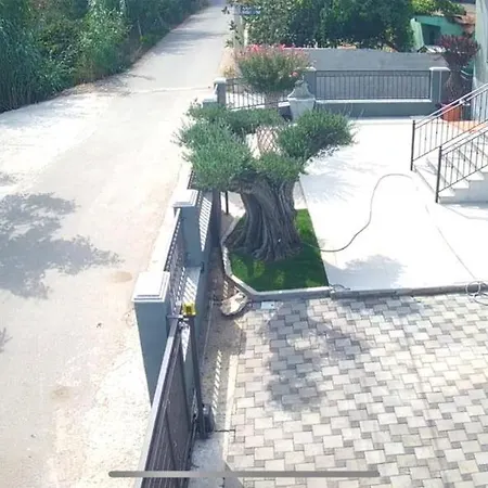 Andersoni Dhoma Plazhi Andersoni Shen Ded Gjoni